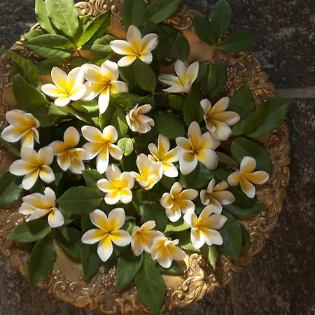 Вилла Celestina, Great For Privacy And Seclusion