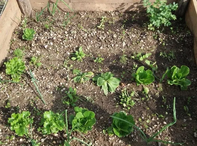 Вилла Celestina, Great For Privacy And Seclusion *