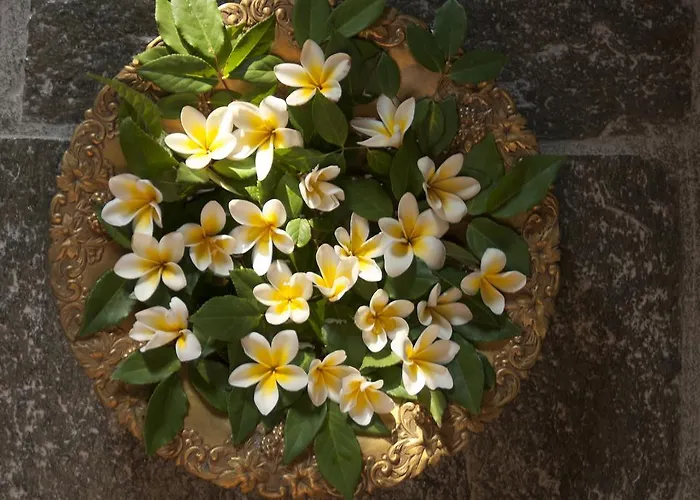 Вилла Celestina, Great For Privacy And Seclusion